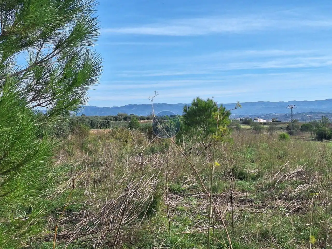 Terreny rústic en venda a Alfarrasí, imagen 6