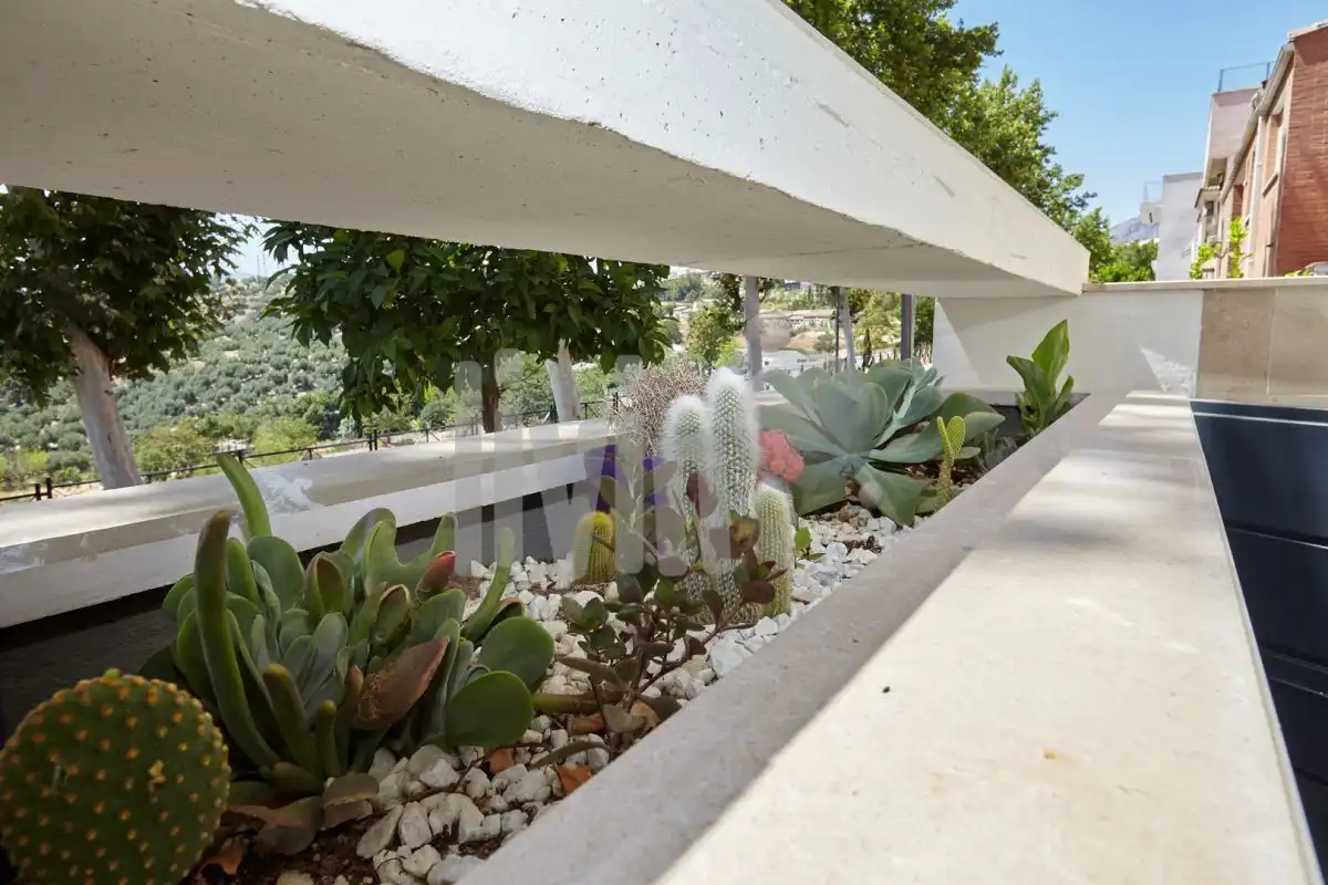 Jardí de Casa o xalet en venda en Jaén