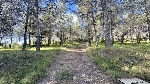 Terreno Rústico en venta en Montaña., immagine 2