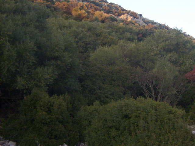 Terreno en Venta en Centro