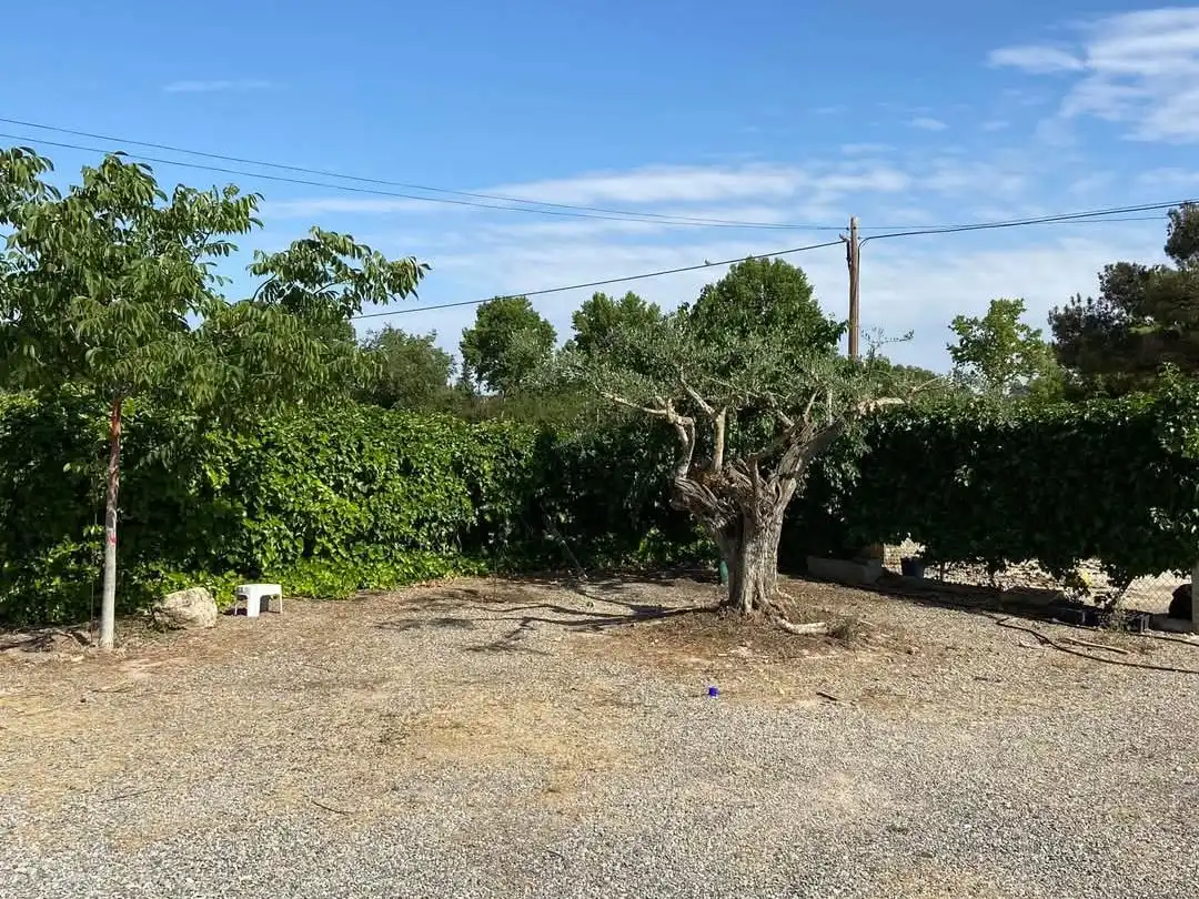 Villa con piscina in vendita a Carrer verduna 33, imagen 7