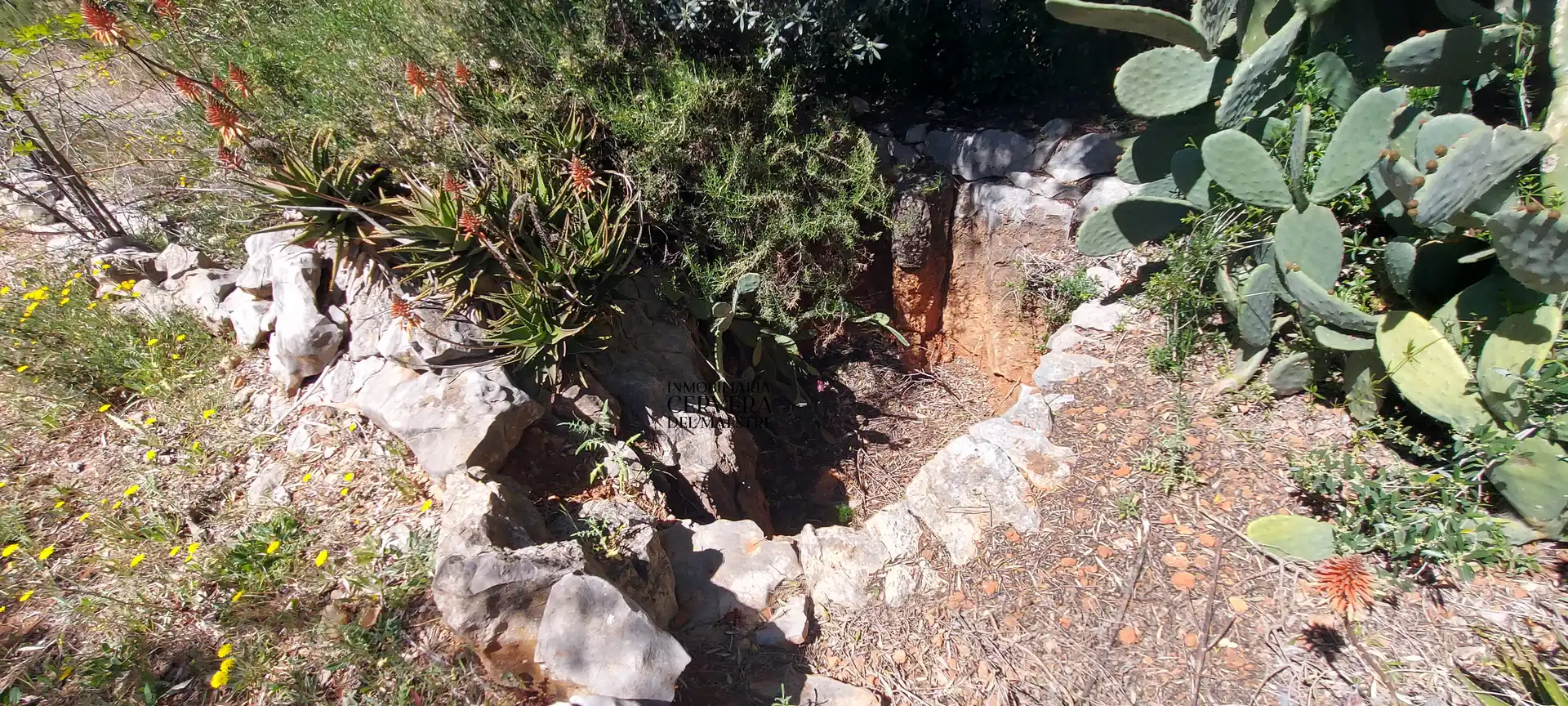 Terreno rustico in vendita a Cervera del Maestre, imagen 17