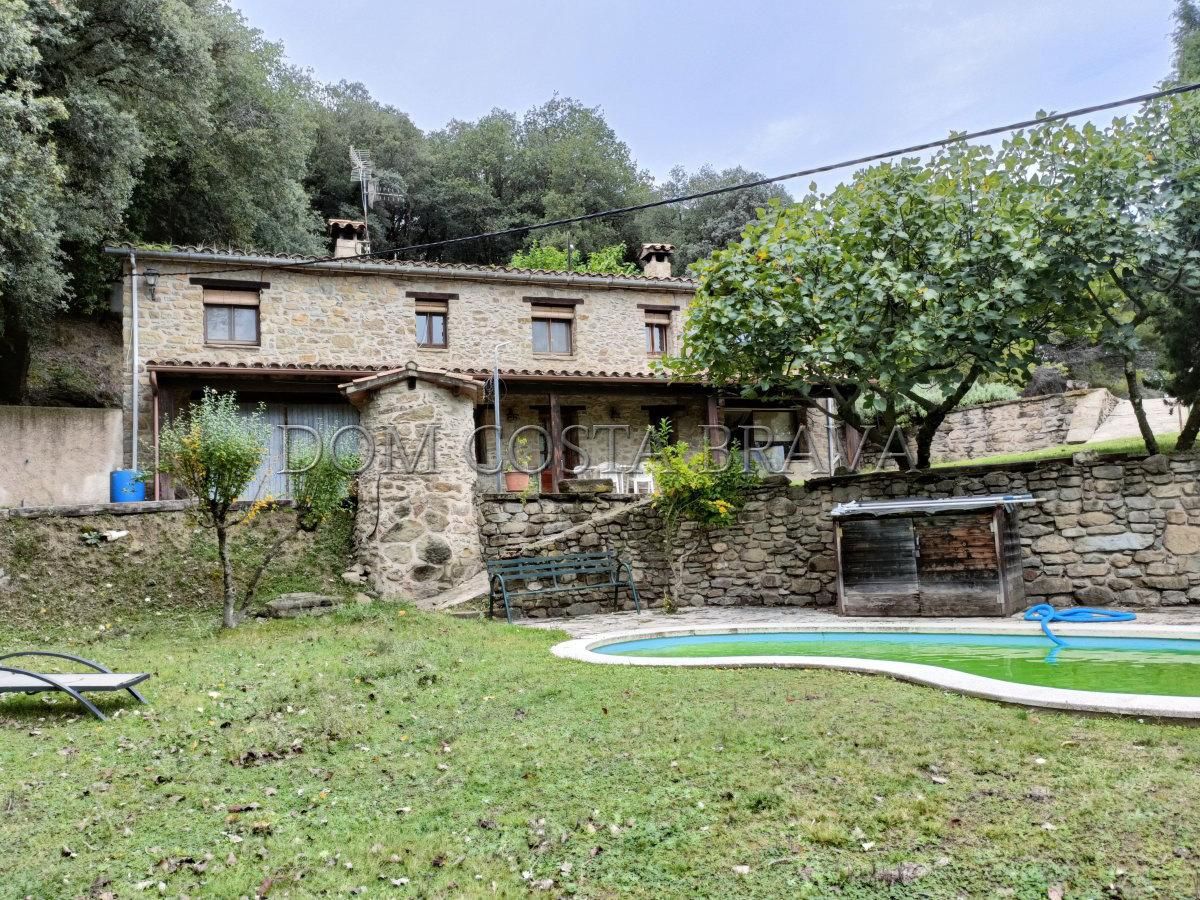 Vista exterior de Finca rústica en venda en Sant Miquel de Campmajor
