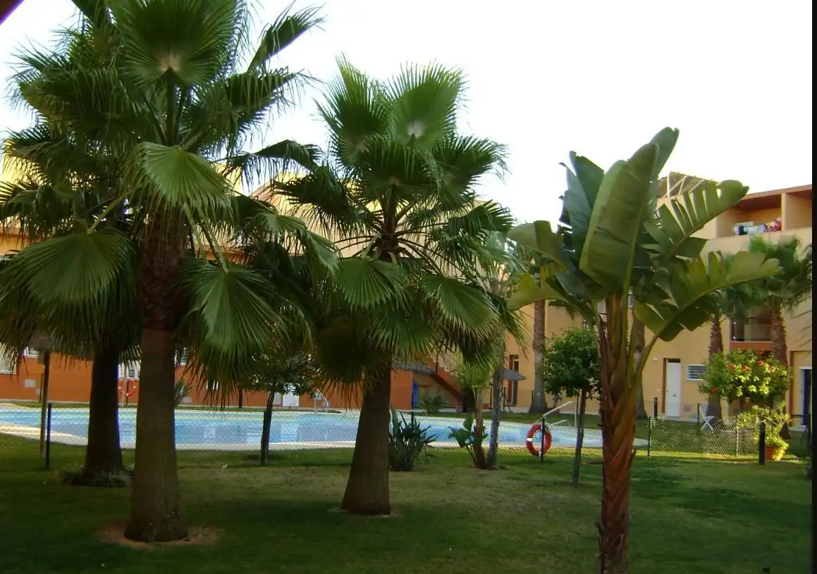 Duplex avec piscine à vendre à Paseo Paseo Cumbres, imagen 4