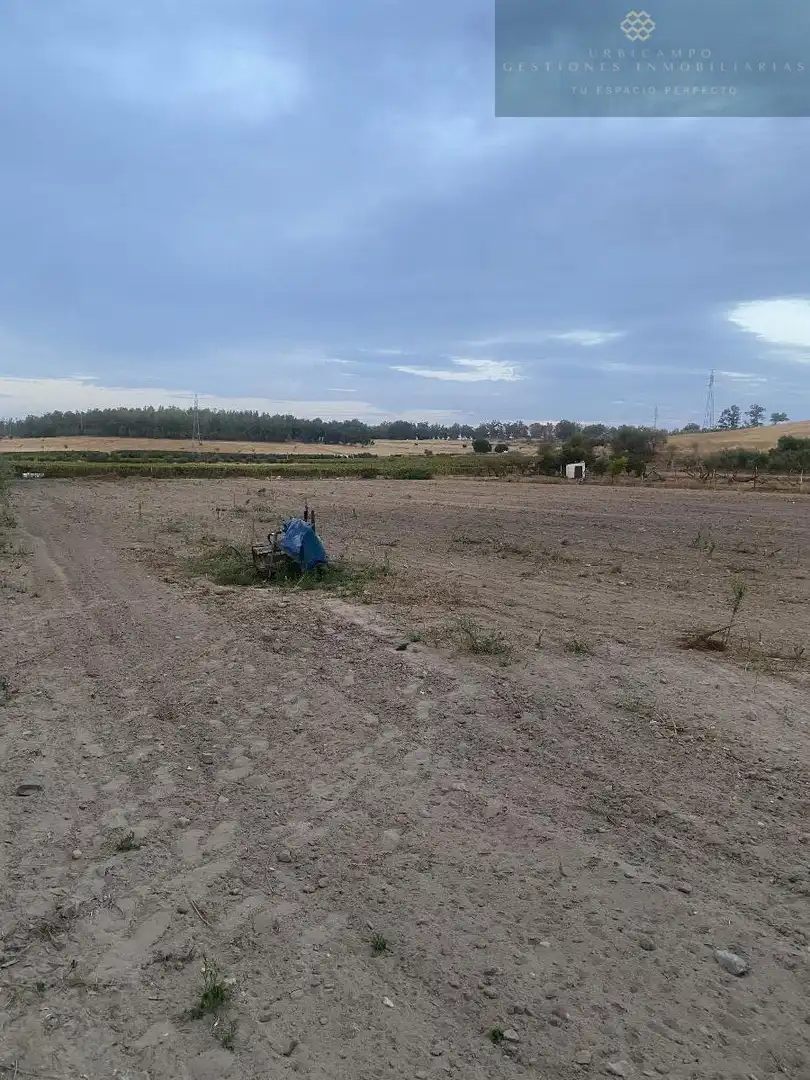 Finca rústica en venda en Calamonte