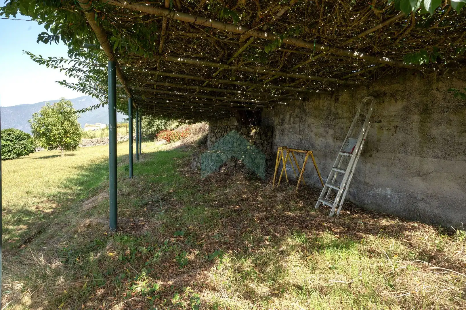 Jardí de Casa o xalet en venda en La Orotava amb Jardí privat, Terrassa i Moblat