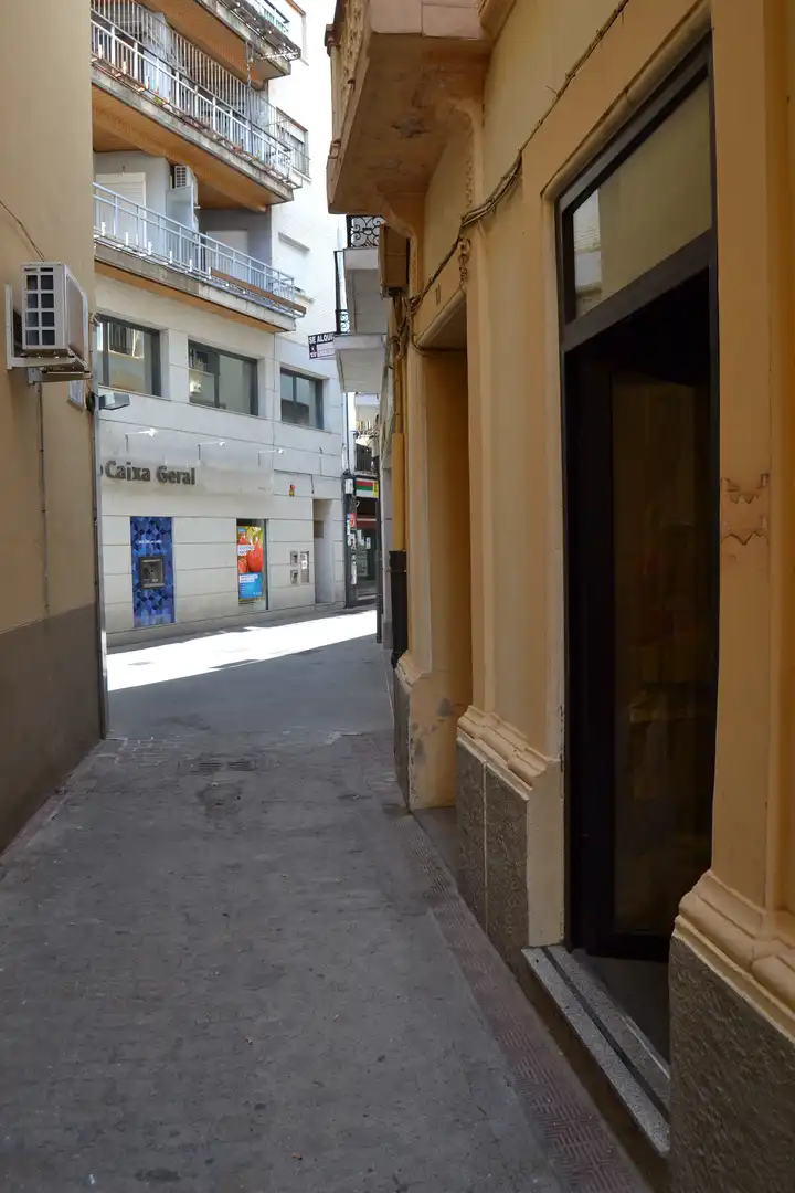 Gewerbefläche zur Miete in Calle Vinagras, imagen 4