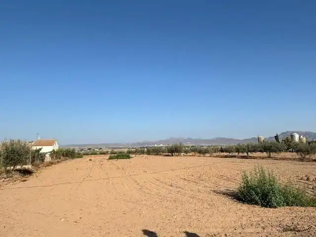 Lands and plots for sale in Pedanías Centro, imagen 2