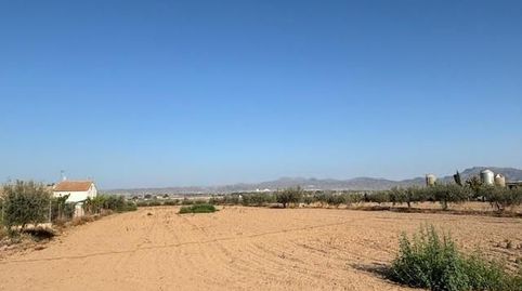 SE VENDE PARCELA EN PURIAS  LORCA, immagine 2