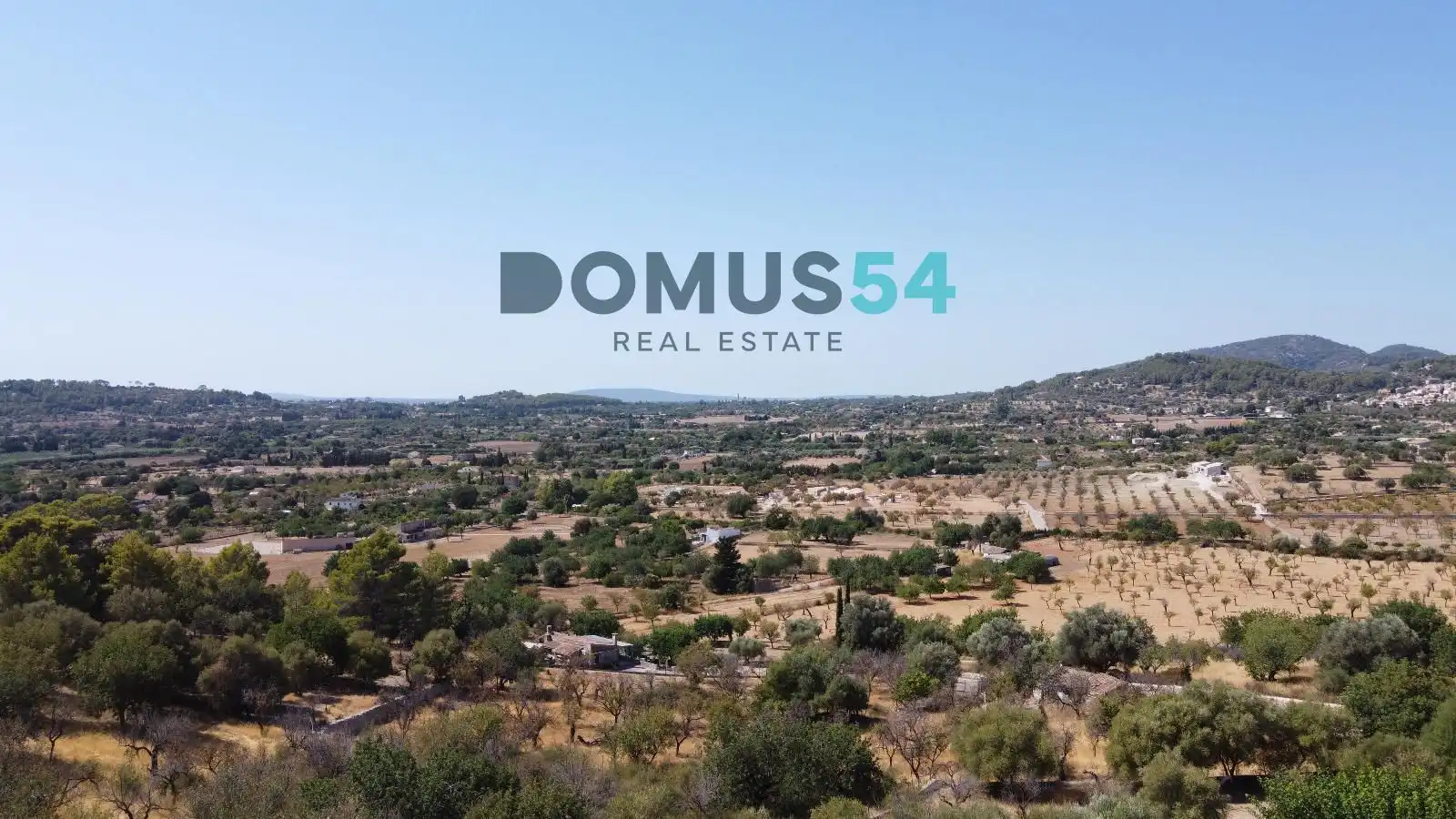 Land for sale in Selva
