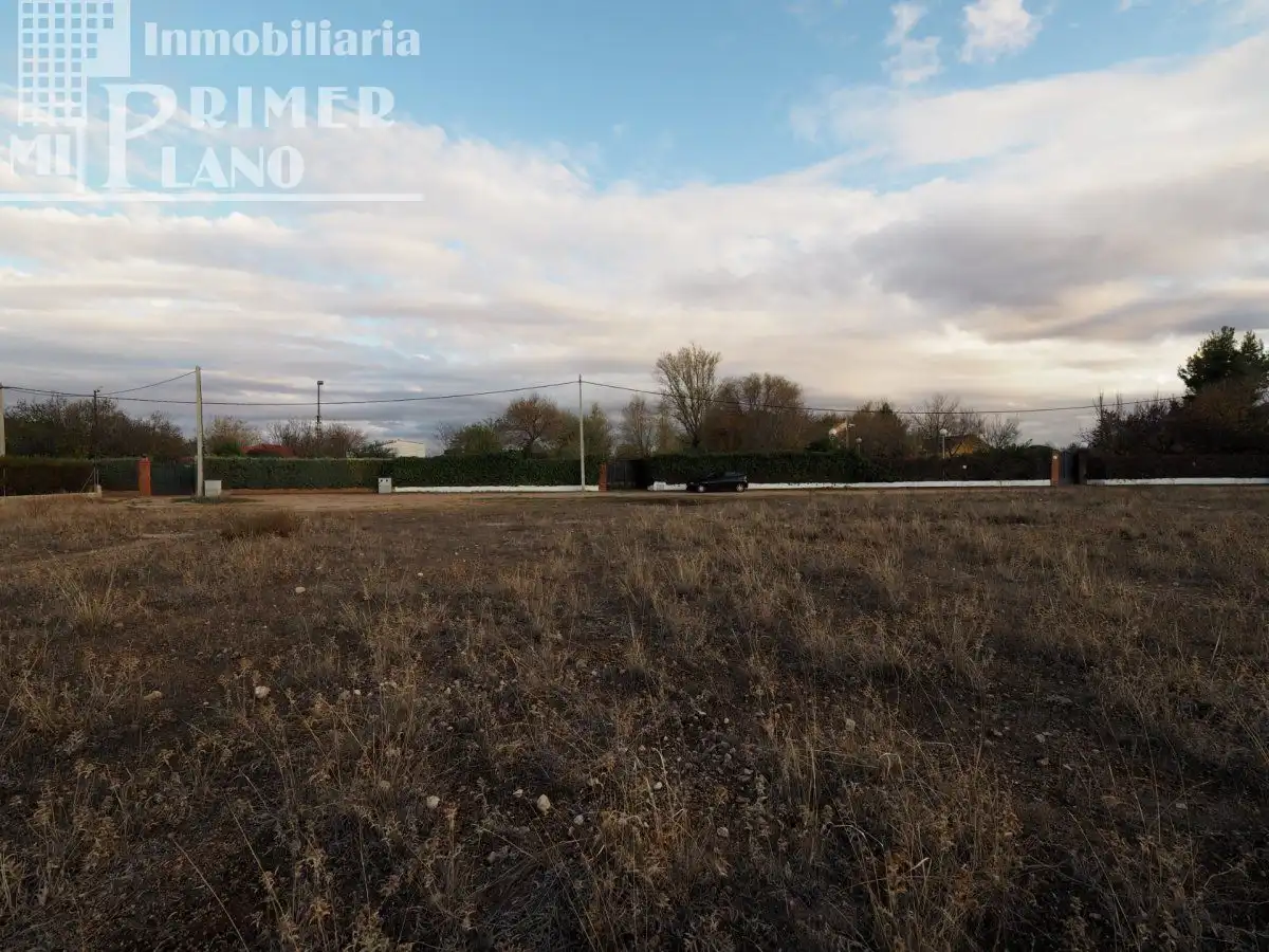 Finca rústica en venda en Argamasilla de Alba