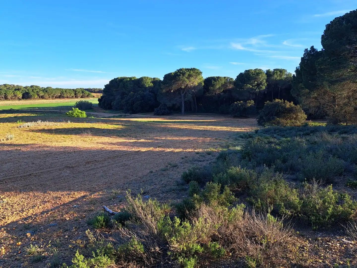 Terreno en venta en Villagarcía del Llano