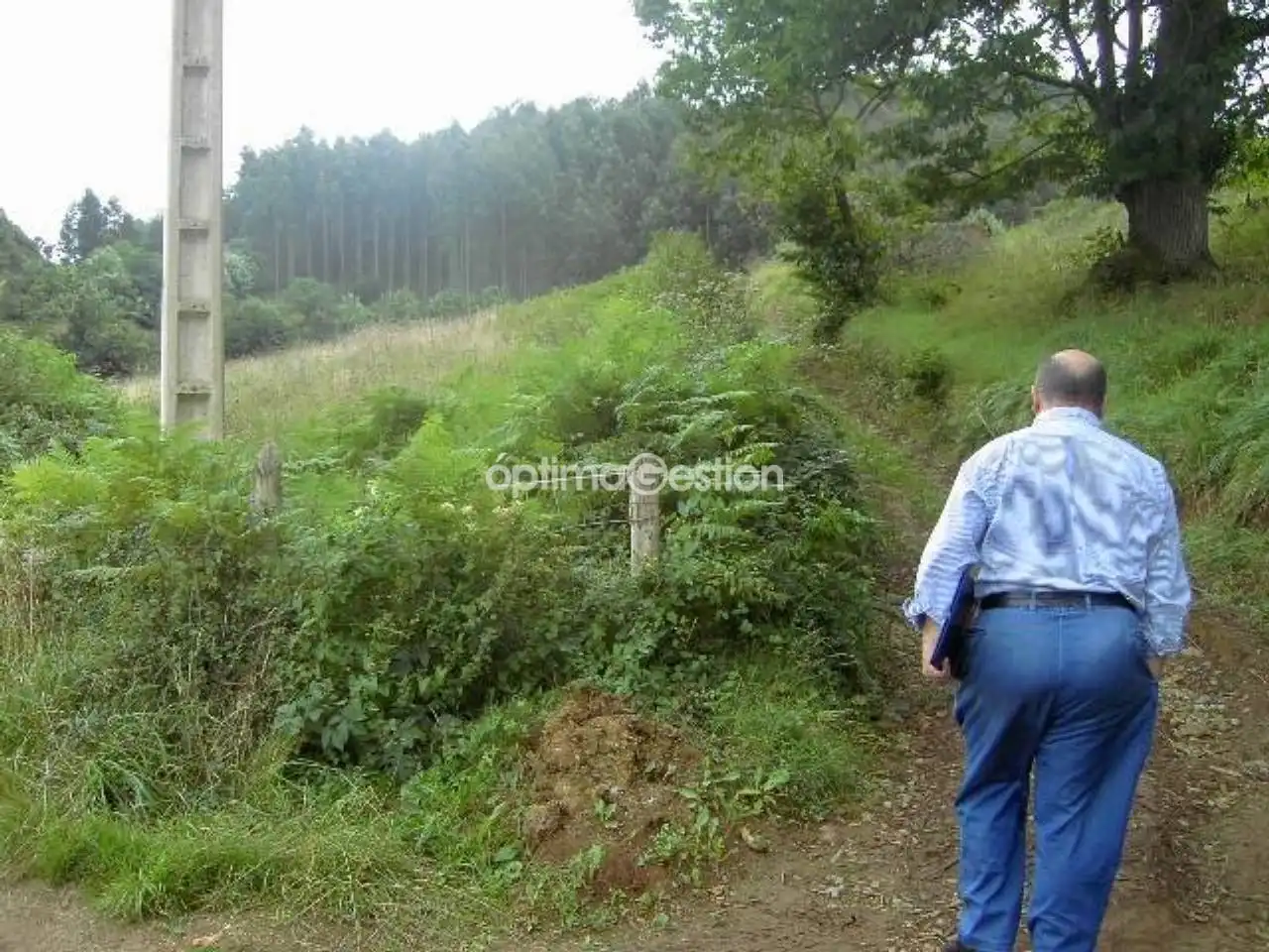Terreno residencial en venta en Avenida CARRETERA A LAS CUEVAS 000, imagen 2