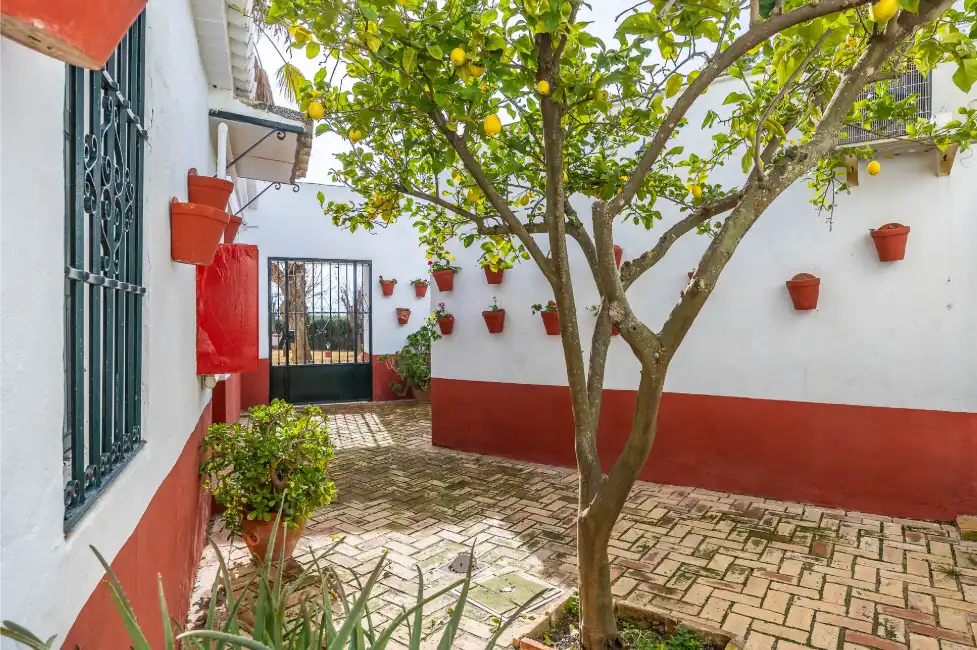 Casa rústica amb terrassa en venda a Carretera Guadajoz, imagen 26
