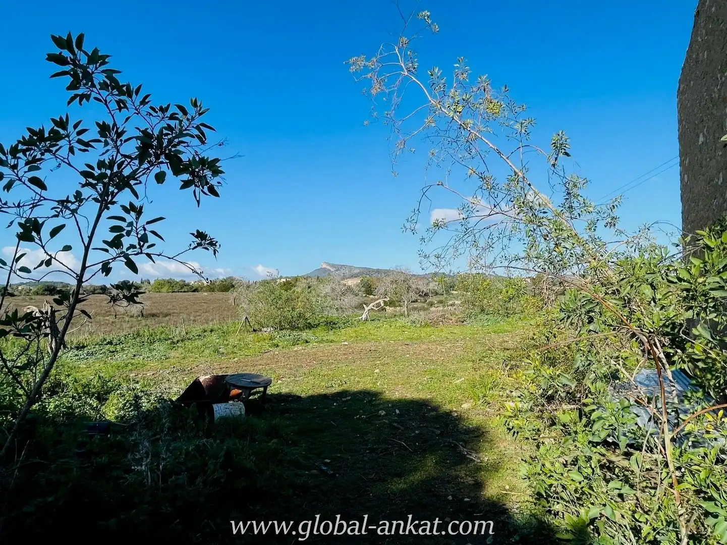 Finca rústica en venta en Manacor