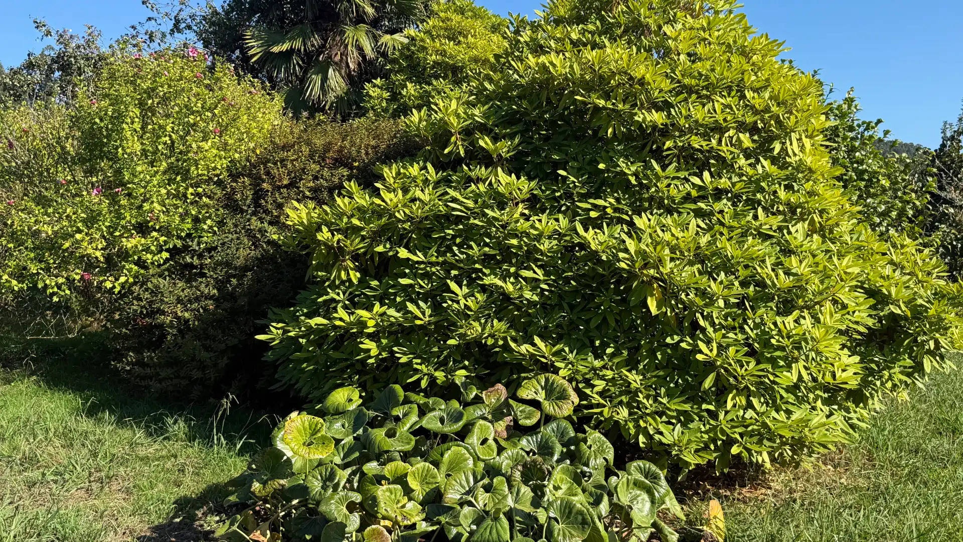 Casa amb jardí en venda a Ortigueira, imagen 4