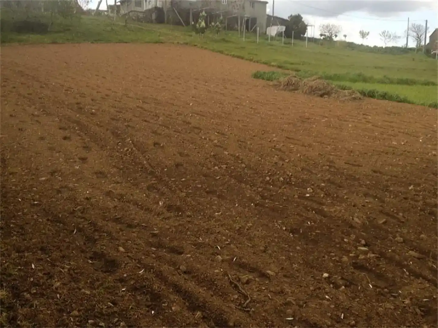 Finca rústica en venda en Vila de Cruces, Pontevedra
