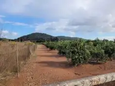 Terrain rustique à vendre à La Loma - Las Lomas, imagen 15