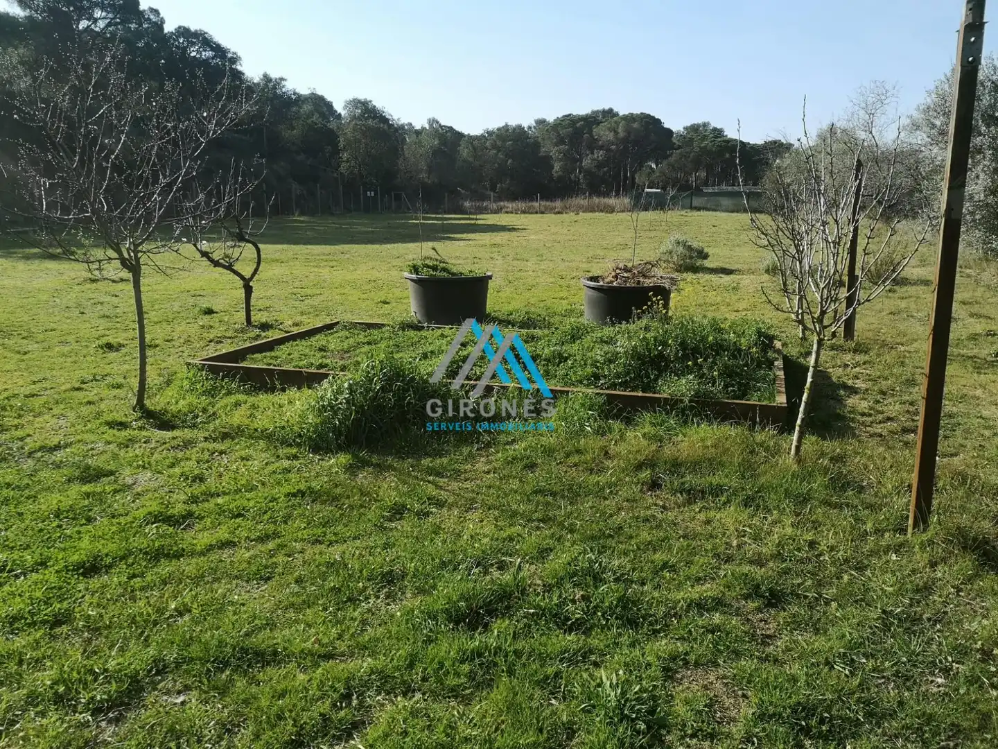 Terrenos y solares en venta en Puig Balitra, imagen 10