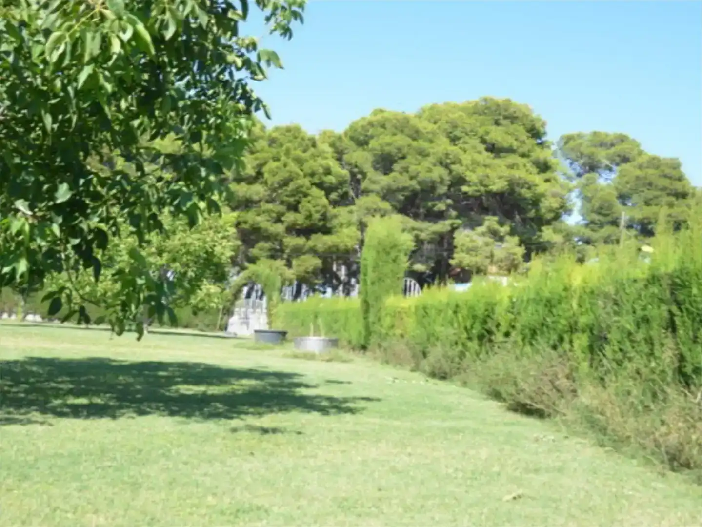Jardí de Finca rústica en venda en Vila-seca amb Aire condicionat, Jardí privat i Traster