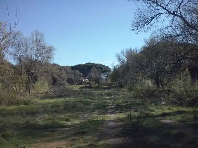 Residential land for sale in Urbanización Sotogrande 3, imagen 2