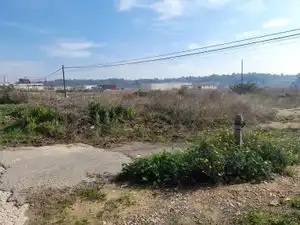 Rural land for sale in Vallmoll, imagen 14