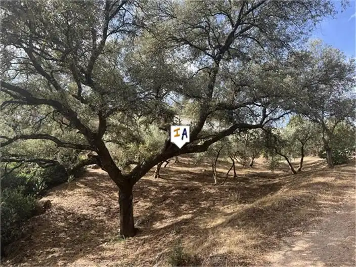 Casa rústica en venda a Priego de Córdoba, imagen 14