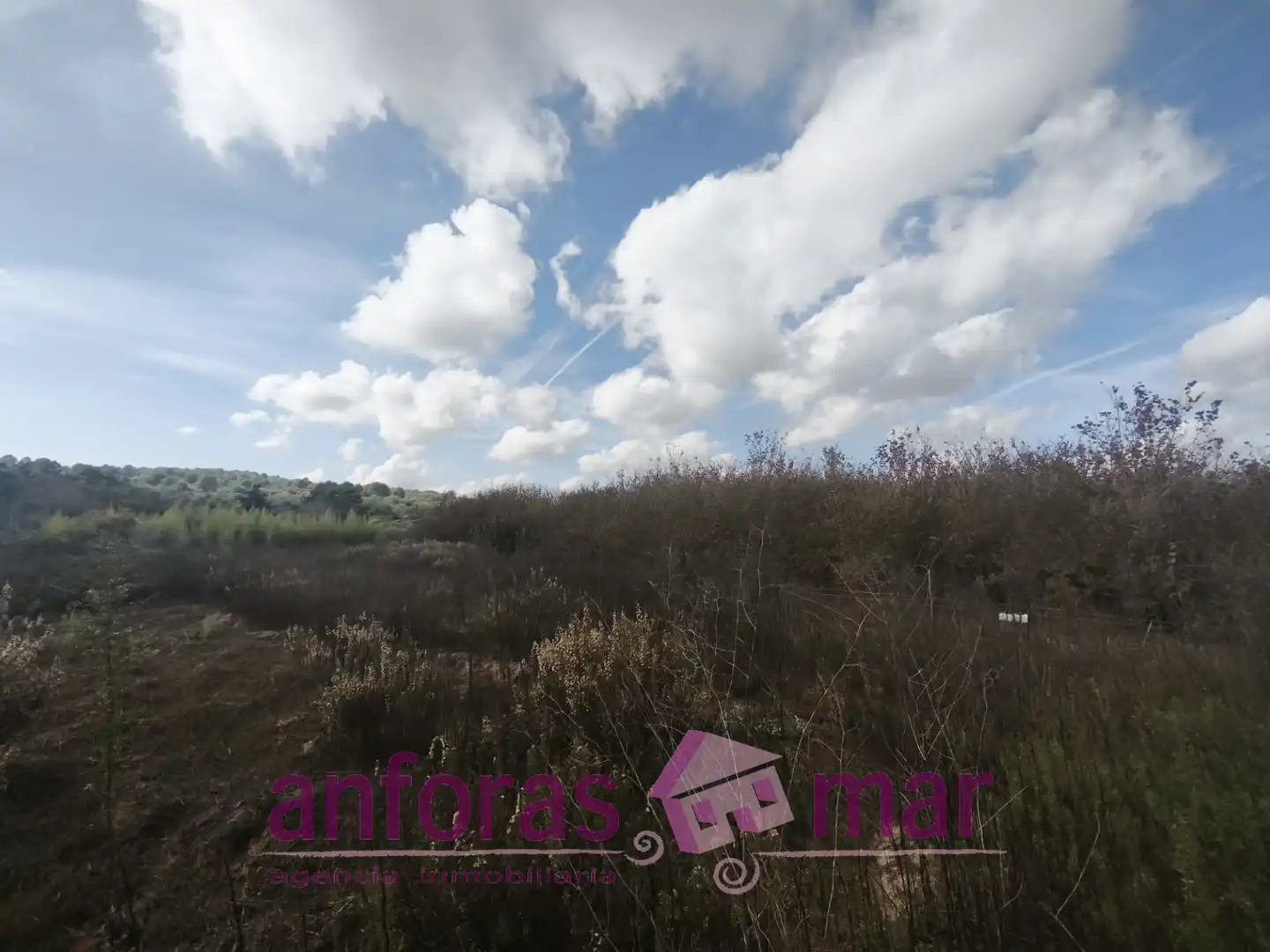 Terreno rústico en venta en La Riera de Gaià, imagen 7