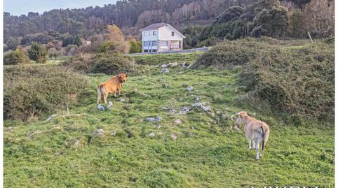 Foto 2 de Casa o xalet en venda a Vidiago - Pendueles - Tresgrandas, Asturias