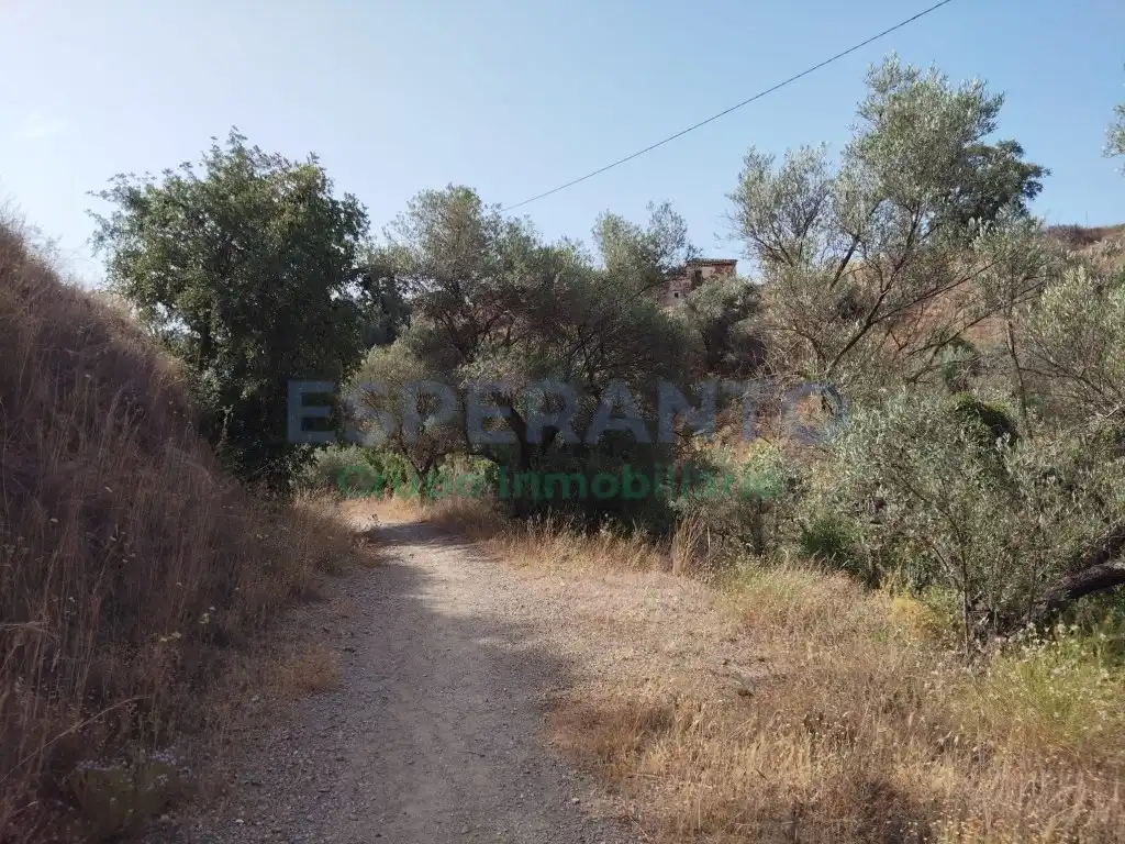 Terreno residencial en venta en Este, imagen 11