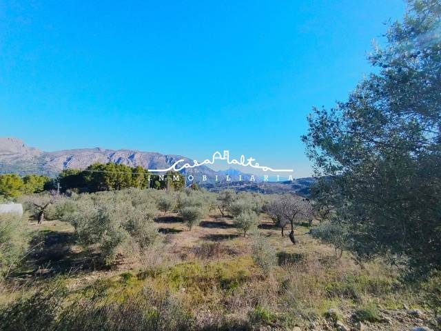 Terreno en Venta en Benifato