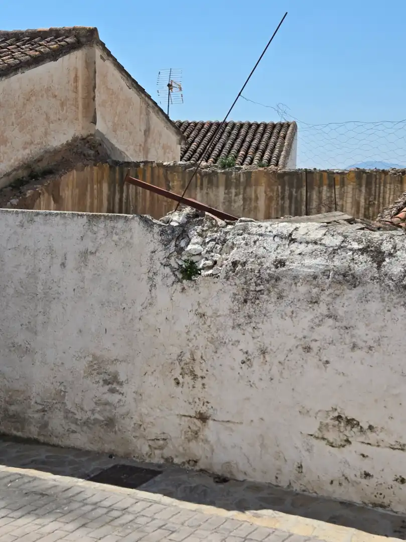Vista exterior de Finca rústica en venta en Alcaucín
