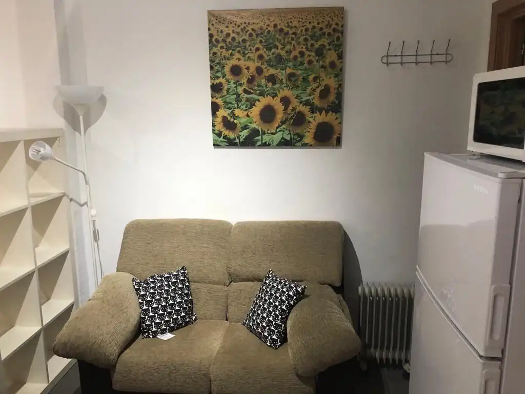 Studio avec ascenseur à louer à Calle Portería de Santo Domingo