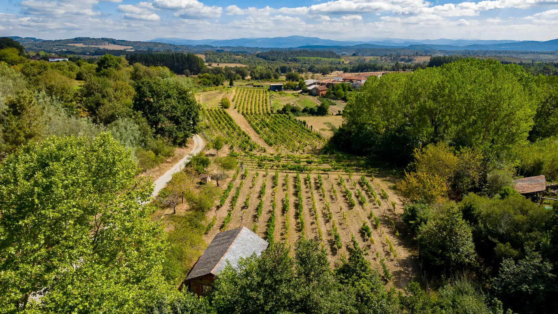 Geschaftsraum zum Verkauf in Monforte de Lemos