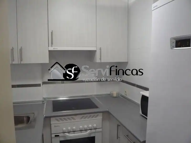 Kitchen of Attic for rent in Madrid  with Air Conditioner, Heating and Private garden