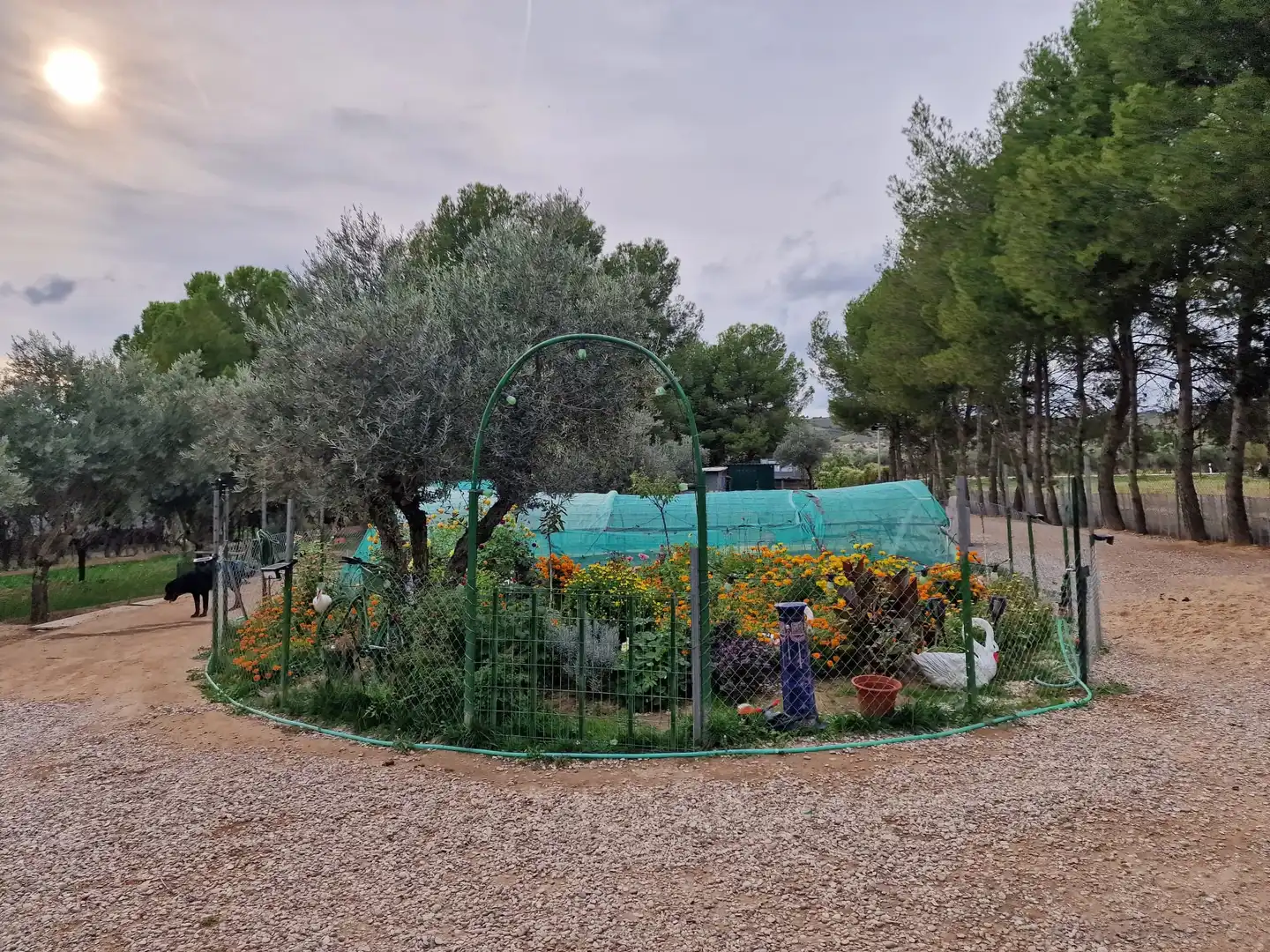 Casa rústica en venda a Calle Baja Azotea, imagen 18