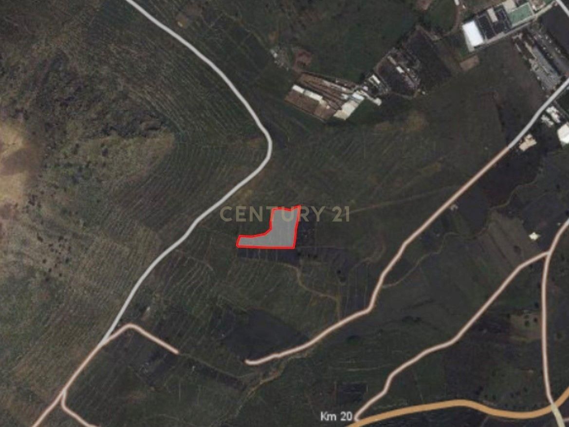 Land for sale in Haría