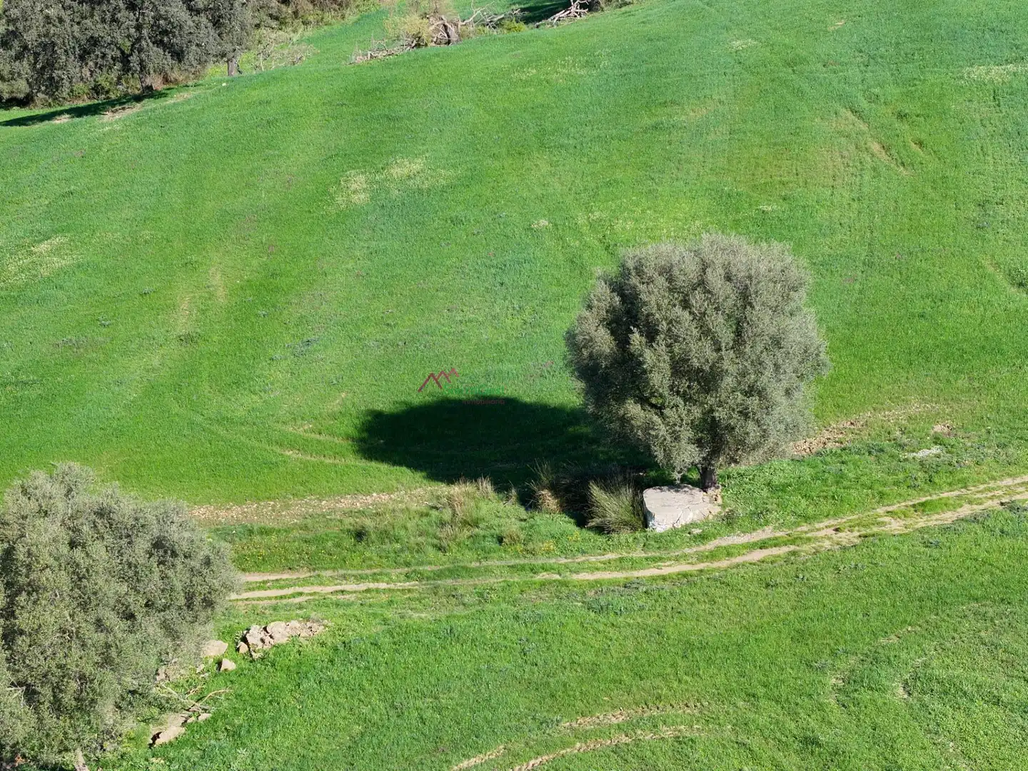 Residencial en venda en El Bosque