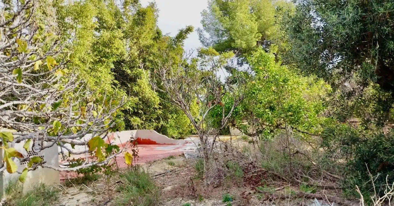 Terreno rustico in vendita a Platja de Torres, imagen 3
