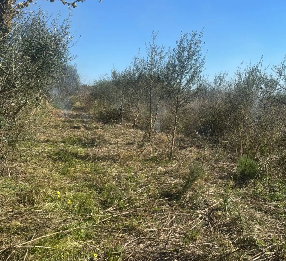 Rustikales Grundstück zum Verkauf in Vilafranca de Bonany, imagen 3