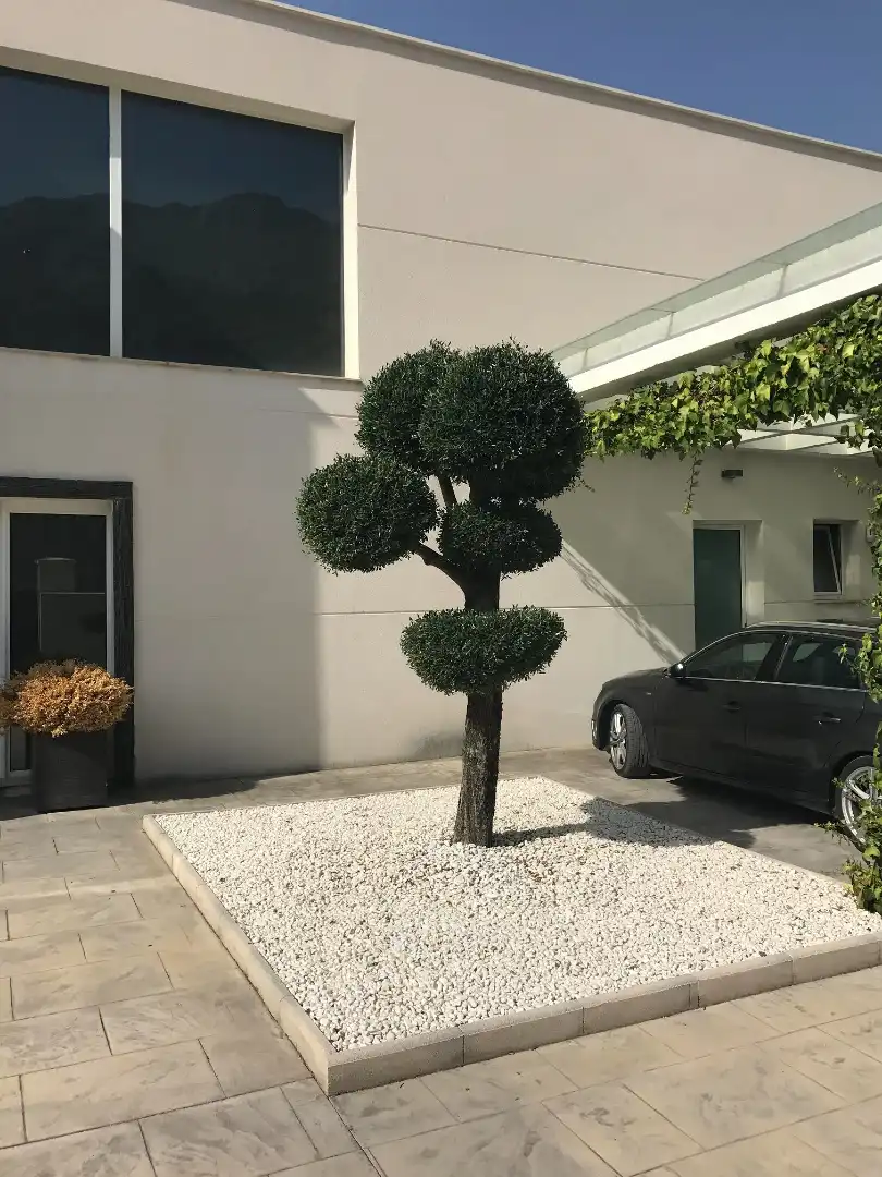 Jardín de Casa adosada de alquiler en Altea con Aire acondicionado, Calefacción y Jardín privado