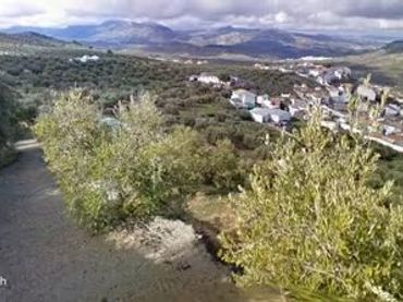 Terreno rustico in vendita a Priego de Córdoba