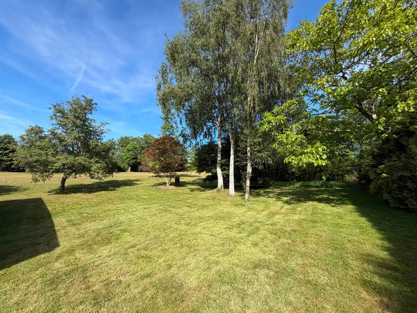 Land for sale in Fene
