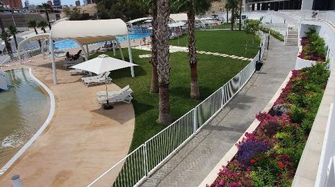 Foto 4 de Piso de alquiler en Playa Poniente, Alicante