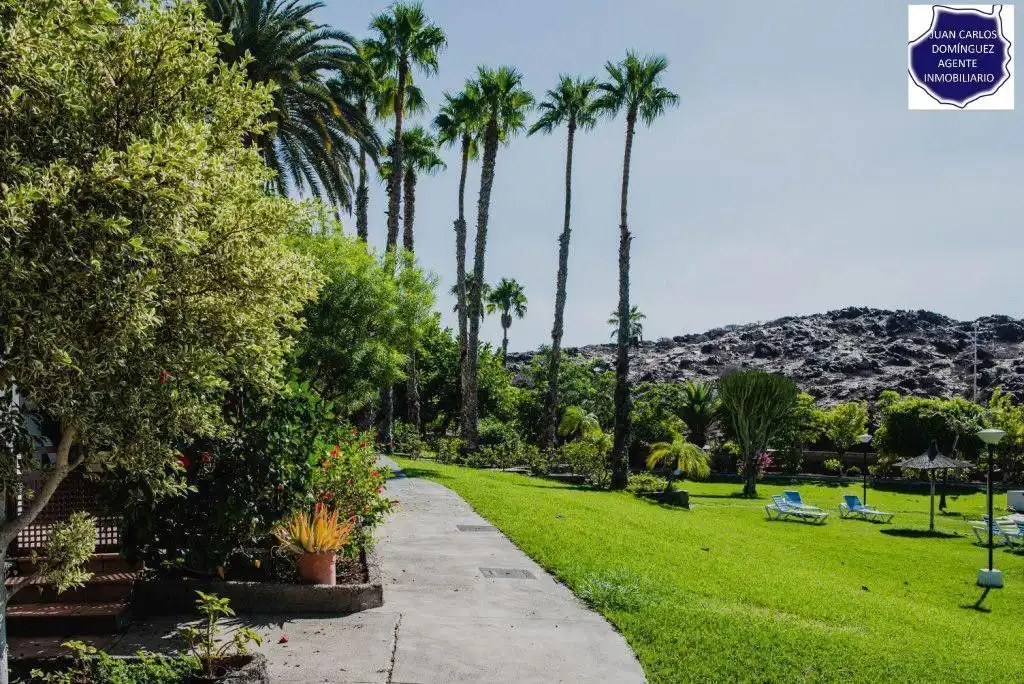 Garden of Apartments for rent in San Bartolomé de Tirajana  with Terrace, Furnished and Community pool