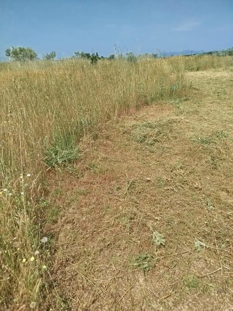 Terreno rústico en venta en Fuencarral - El Pardo, imagen 17