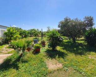 Grundstücke zum verkauf in Santa Oliva