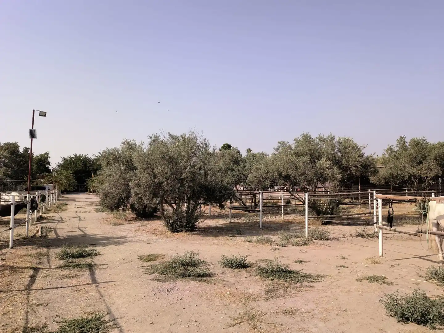 Casa rustica con giardino in vendita a La Zubia Ciudad, imagen 35