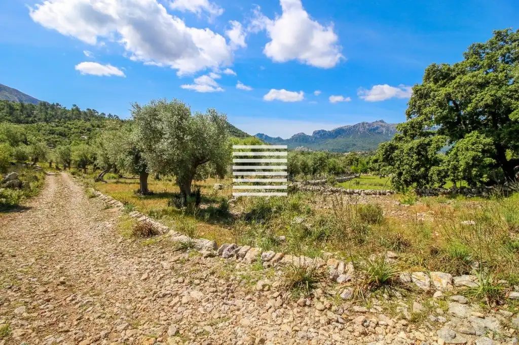 Casa o chalet en venta en Escorca con Trastero