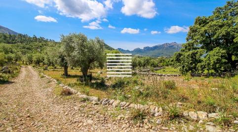 Foto 3 de Casa o chalet en venta en Escorca, Illes Balears